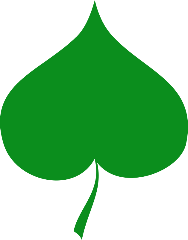 Spring symbol - Linden leaf