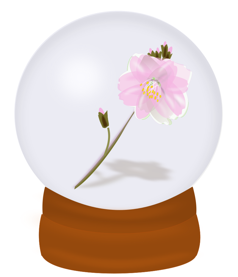 flower globe