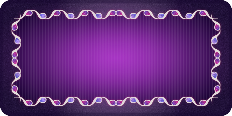 Simple Border - White / Violet