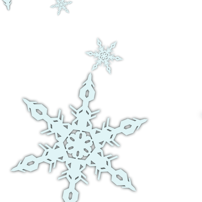 A snowflake