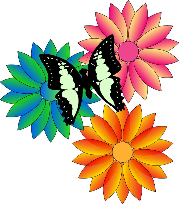 butterfly and flowers