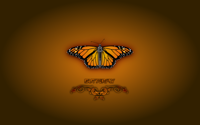 Butterfly (Wallpaper)