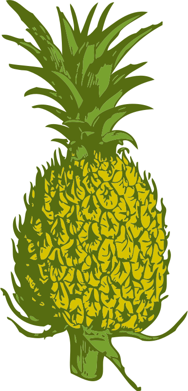 pineapple