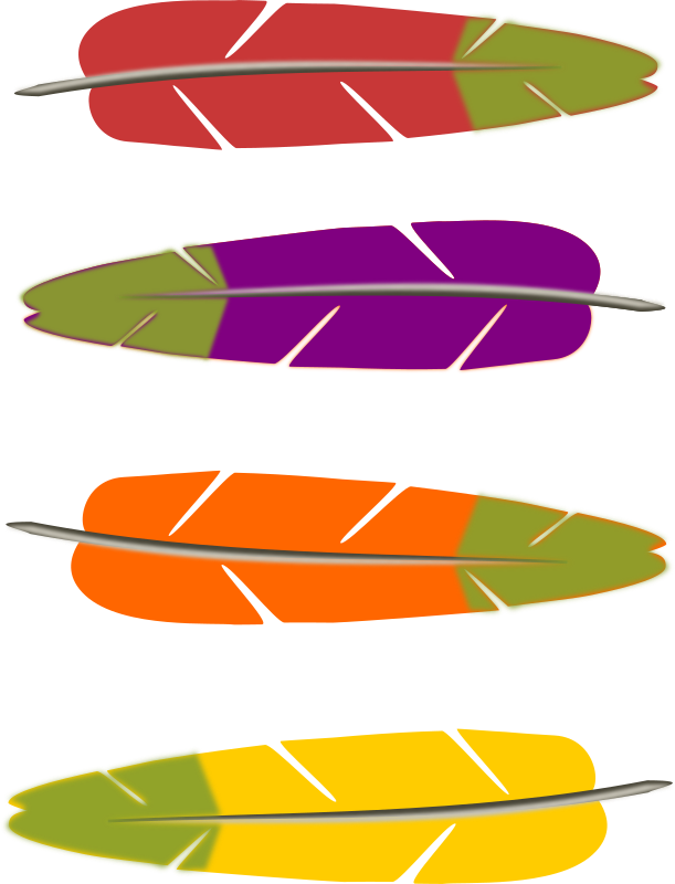 Colored feathers