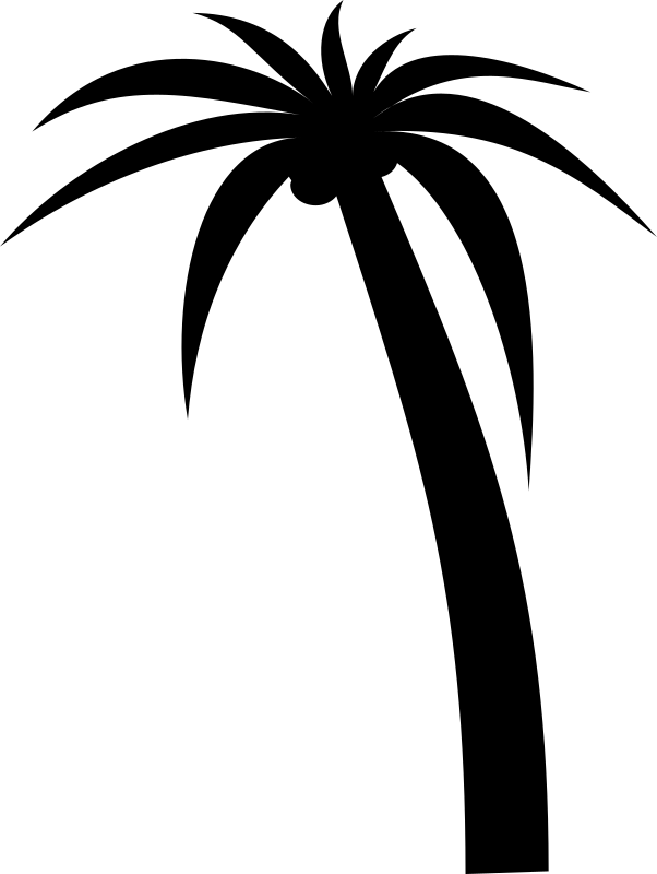 palm tree