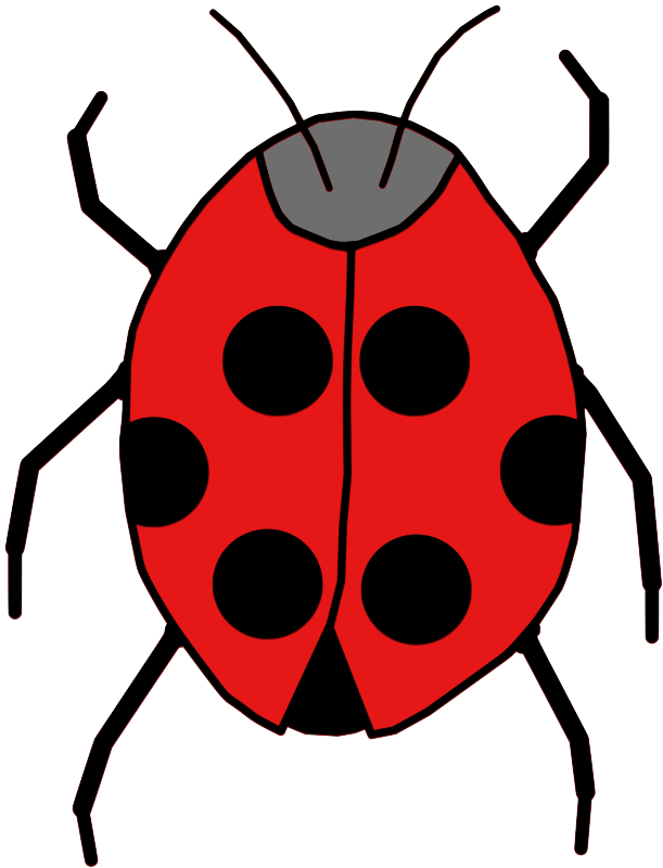 Ladybug