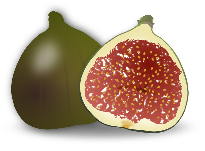 Fig Fruit