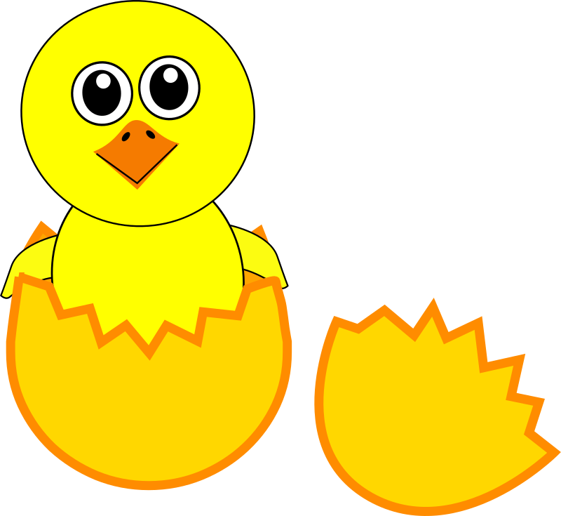 Funny Chick Cartoon Newborn Coming Out from the Egg