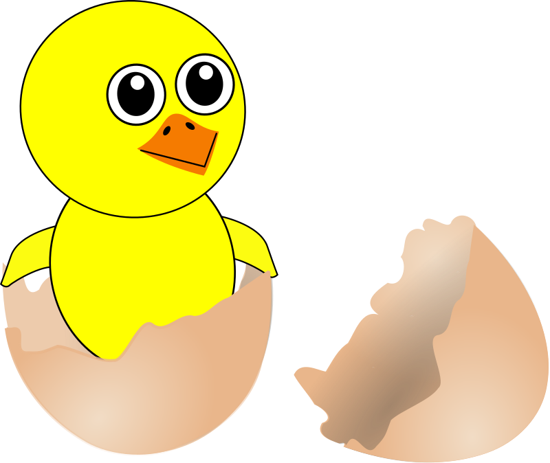 Funny Chick Cartoon Newborn Coming Out from the Egg