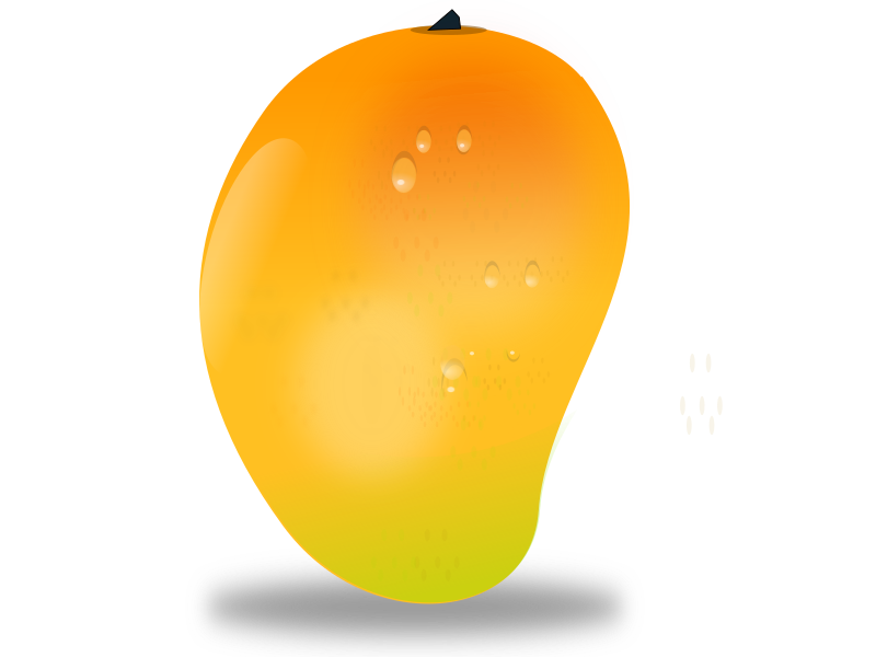 mango fruit