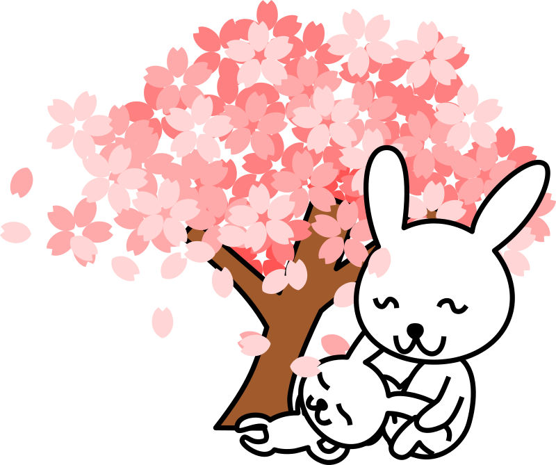 cherry blossoms rabbit