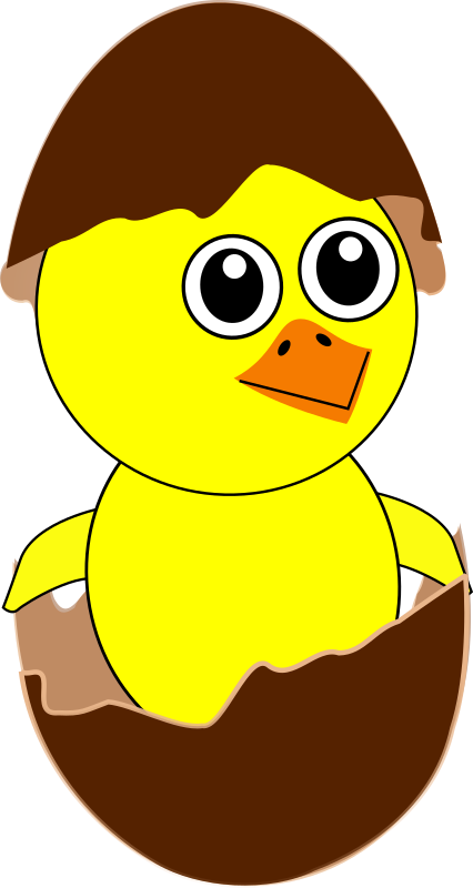 Funny Chick Cartoon Newborn