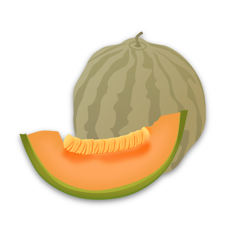 Musk Melon