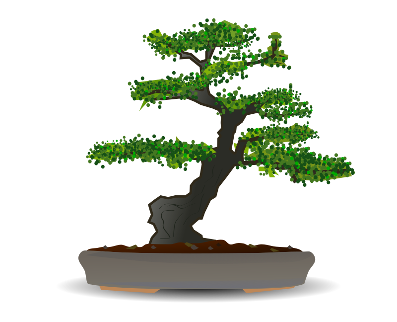 Bonsai