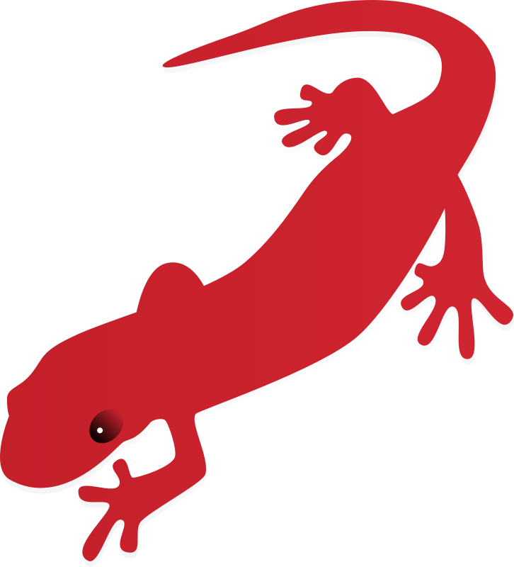 salamander