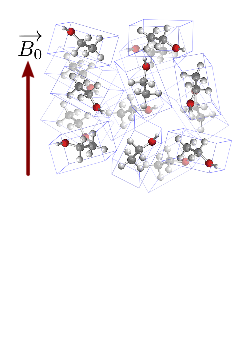 ssNMR disordered material