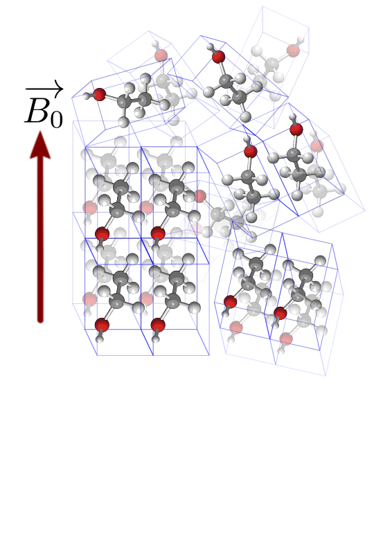 ssNMR partially ordered material