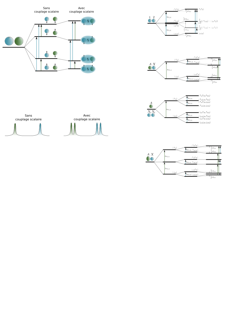 NMR scalar coupling schemes