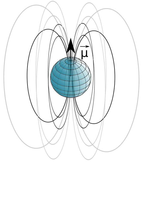 NMR spin field lines