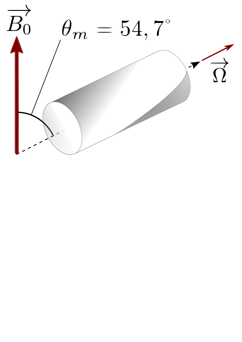 ssNMR spinning rotor