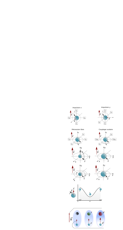 NMR Bloch spheres