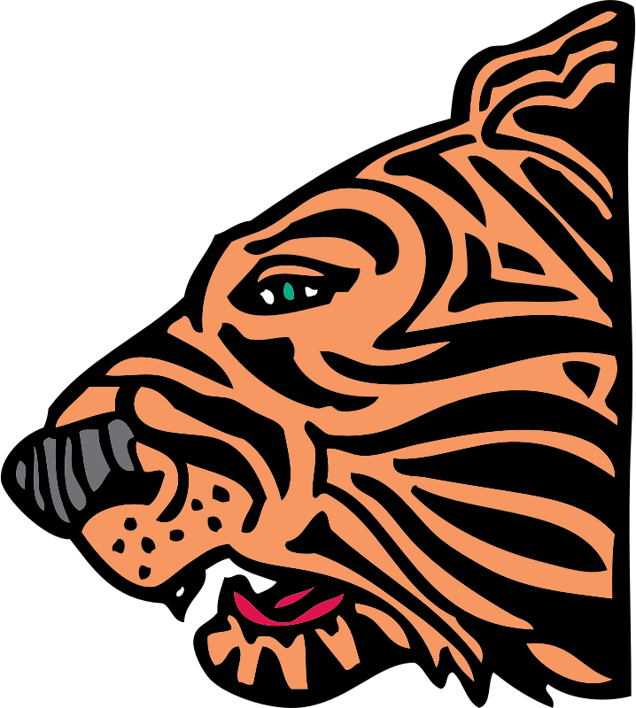 tiger head