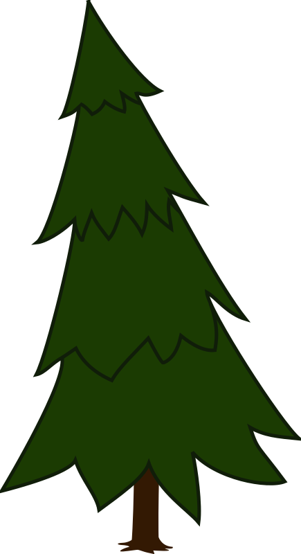 Spruce