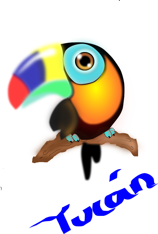 tucan colombiano