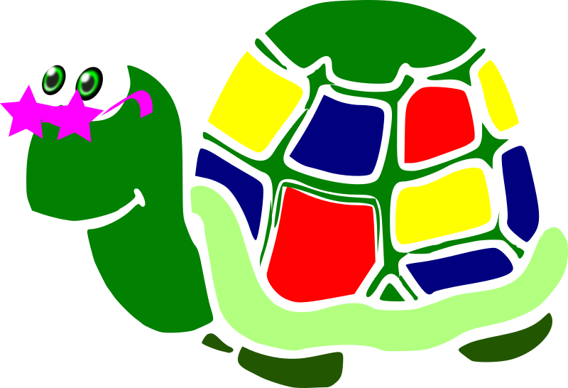 tortuga