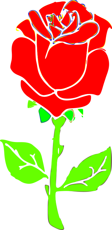 Rosa