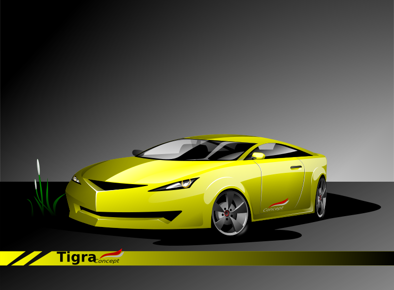 Tigra Concept