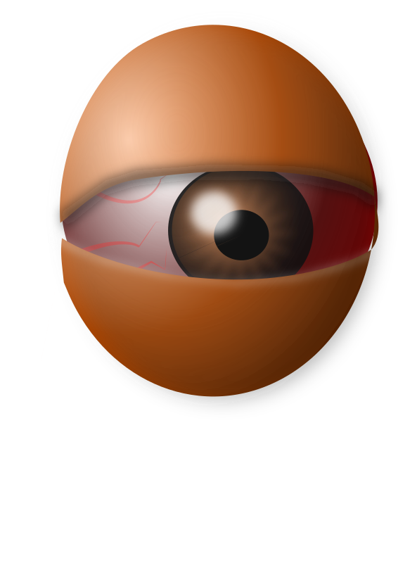 AM Eyeball Egg