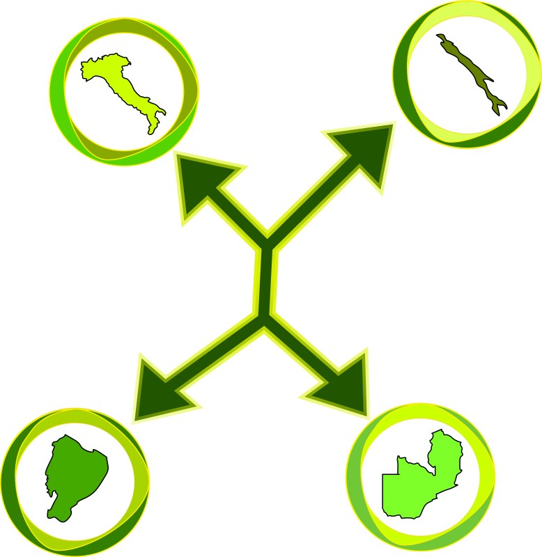 International Network (1)