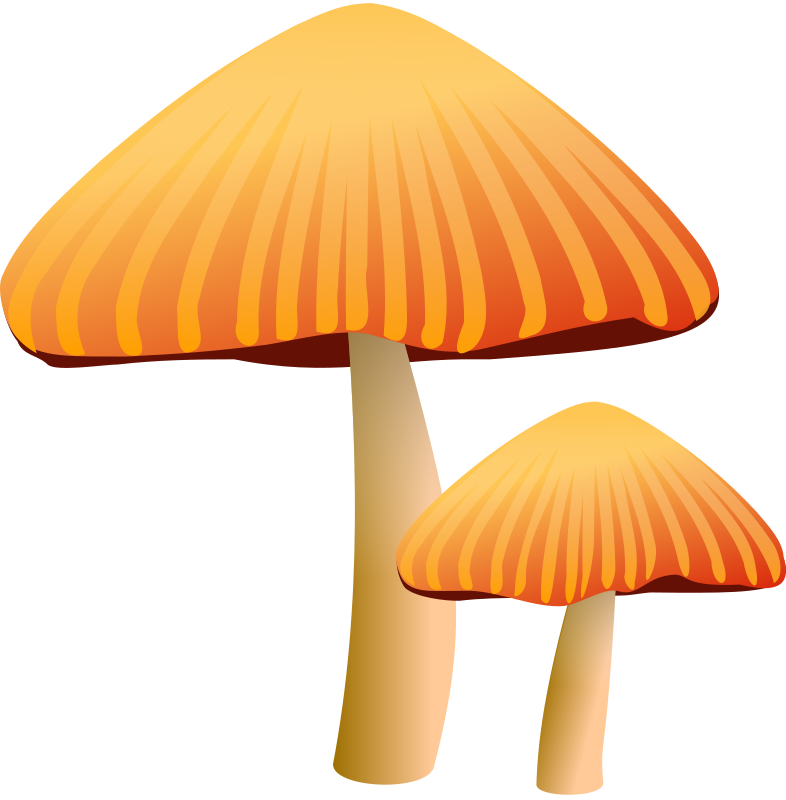 Orange Mushroom