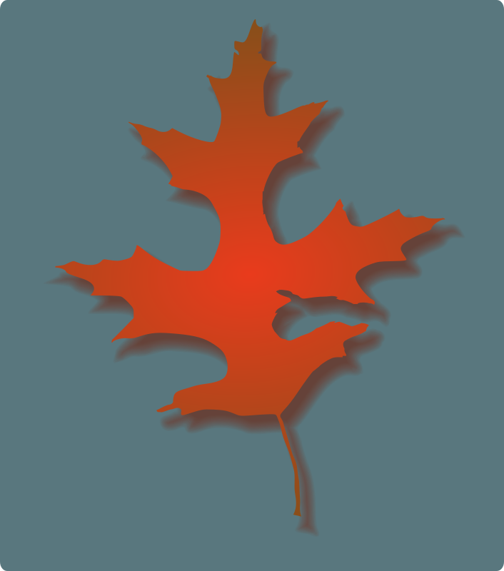 Oak Leaf - Autumn