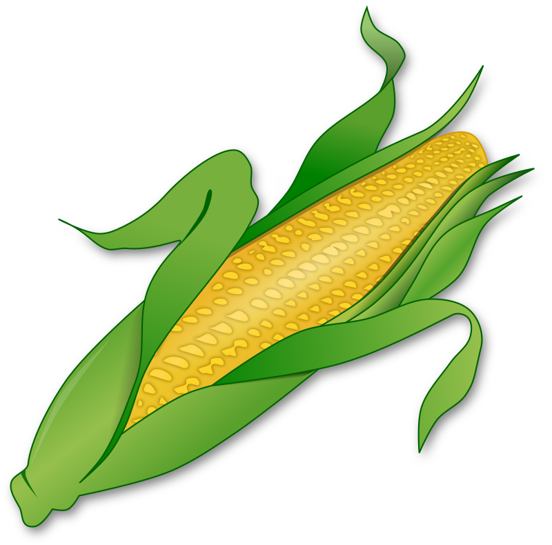 Corn