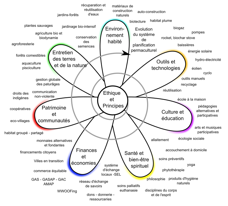 Fleur de permaculture