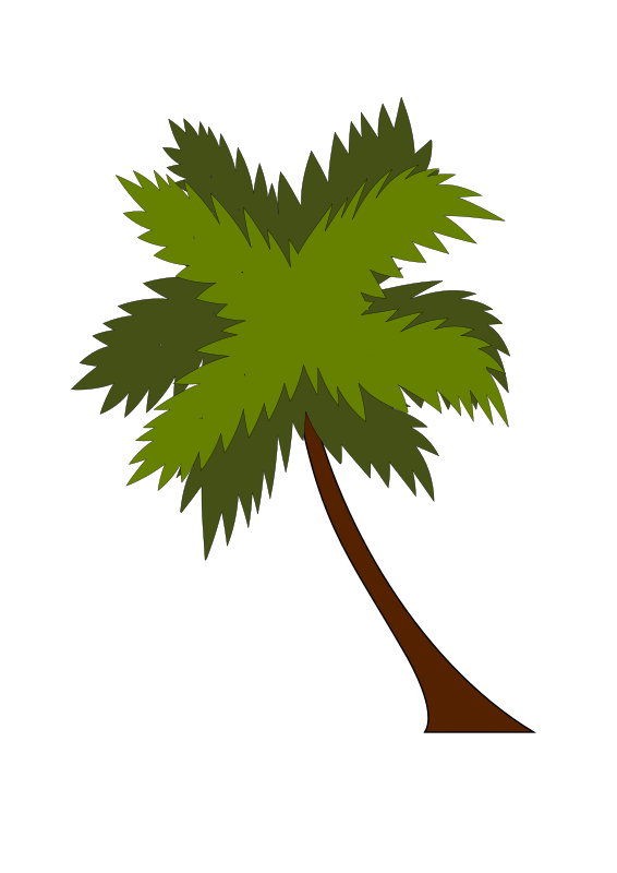 coco tree