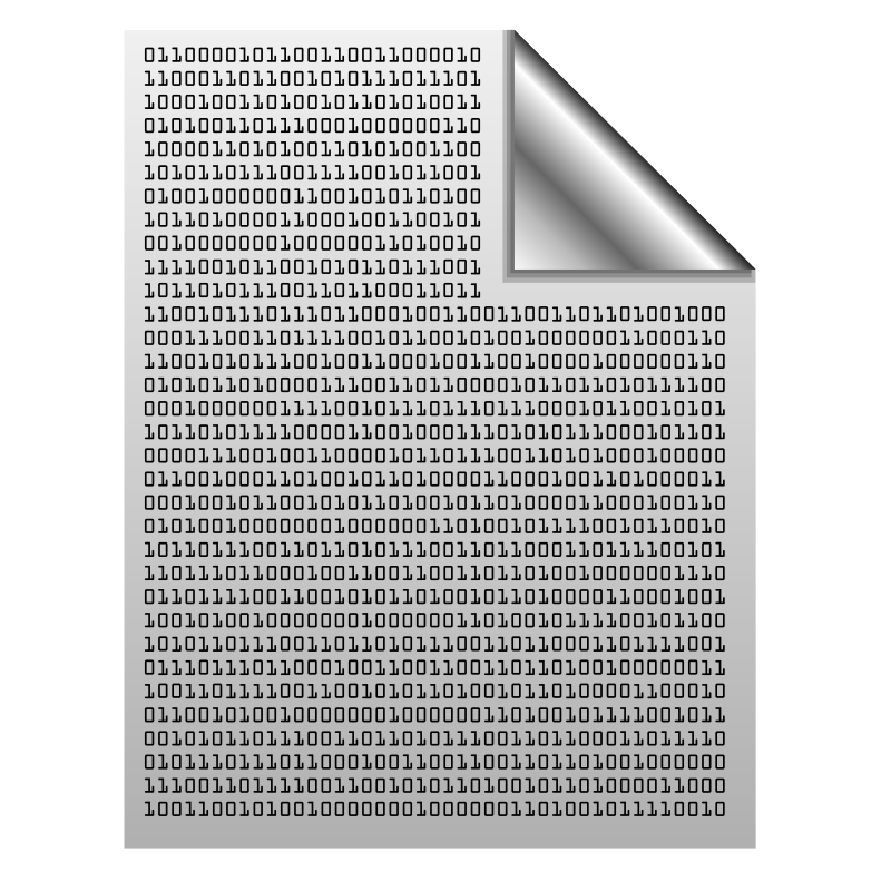 Binary file icon
