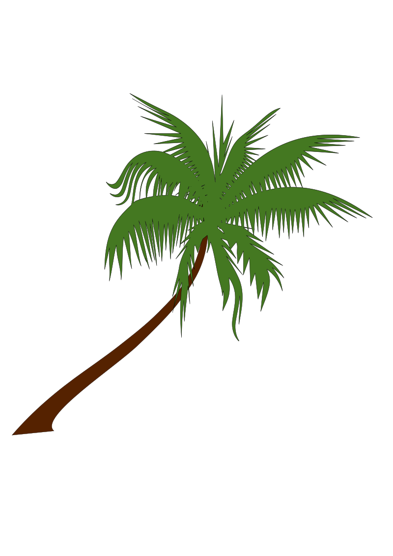 palm tree