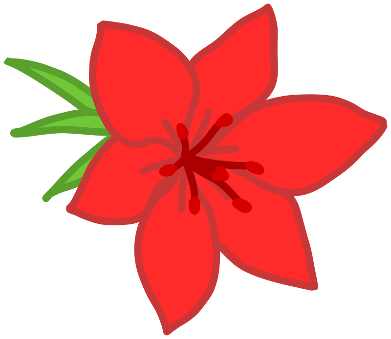 Red flower