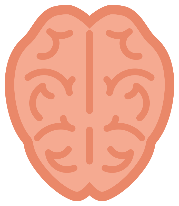 Brain