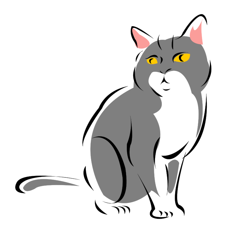 Grey cat