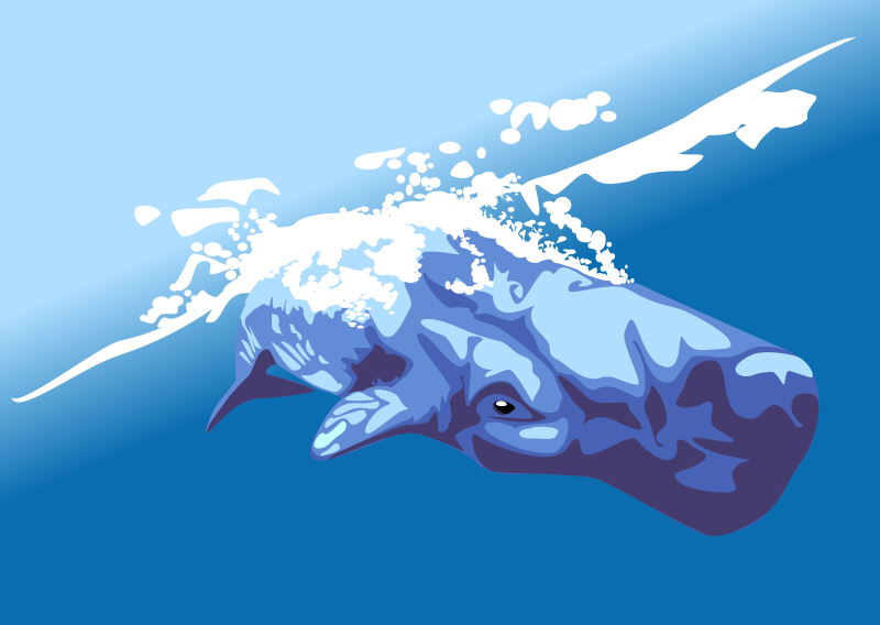 whale