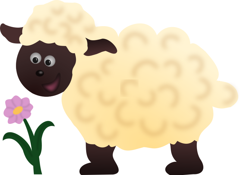 Happy Sheep