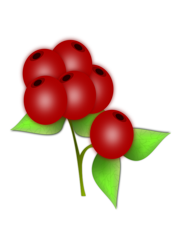 Red berry