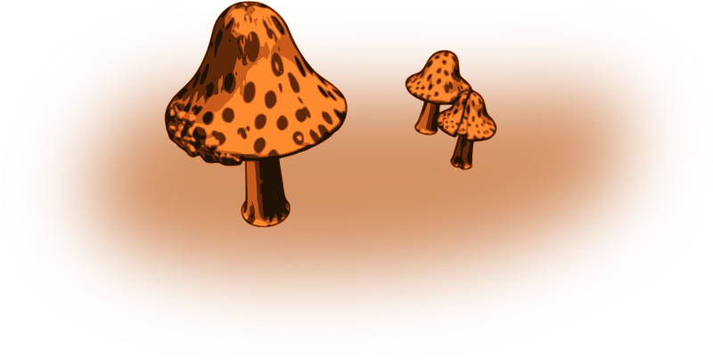 Mushrooms