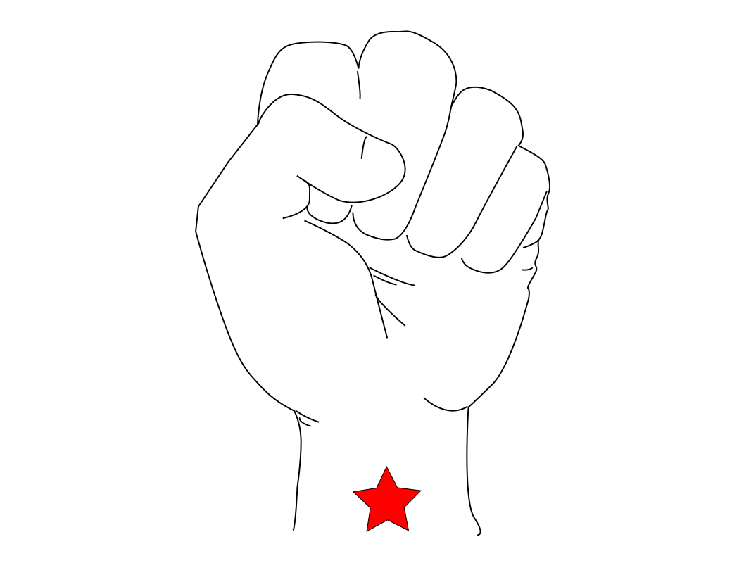 Revolution Fist