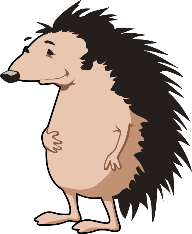 hedgehog