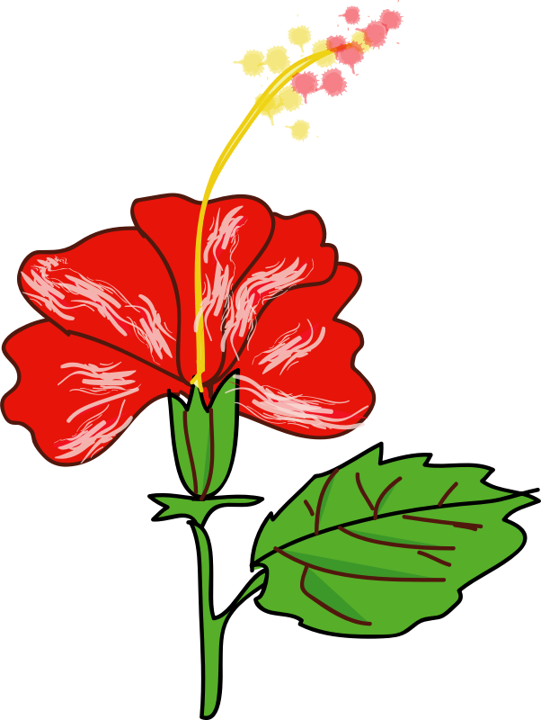 Flower Hibiscus